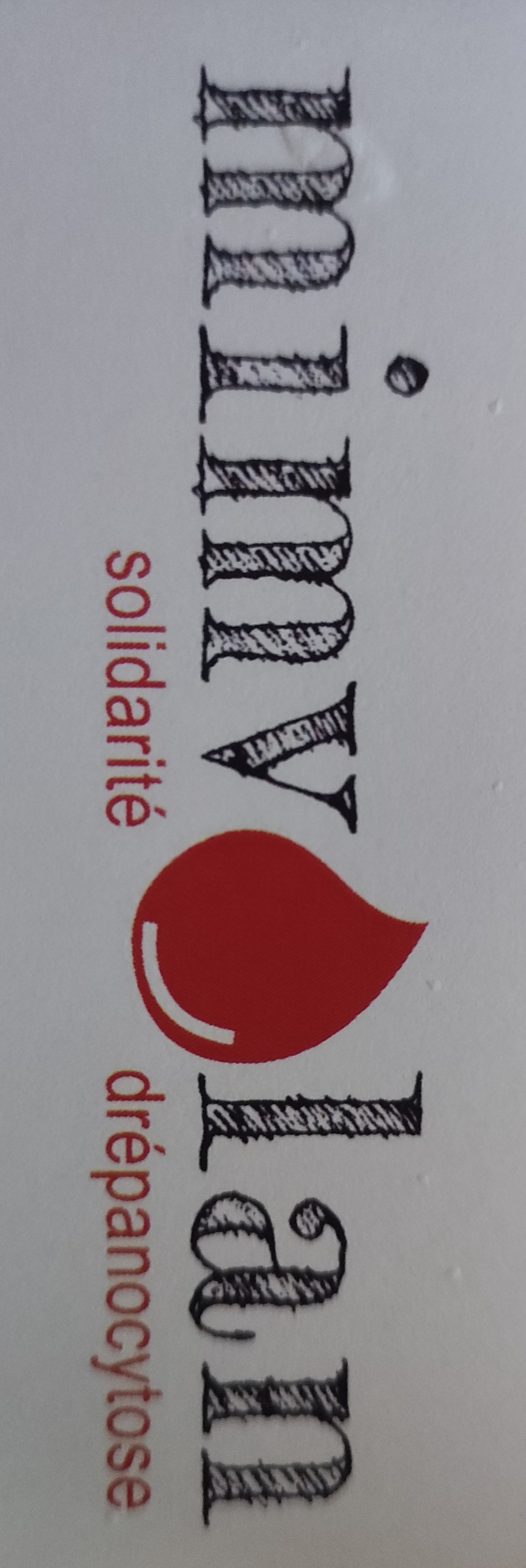 Association Mimvolan